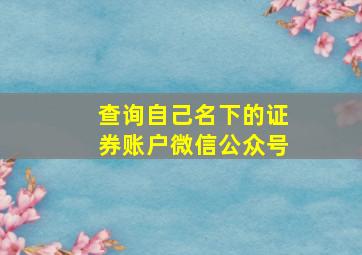 查询自己名下的证券账户微信公众号