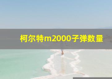 柯尔特m2000子弹数量