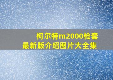 柯尔特m2000枪套最新版介绍图片大全集