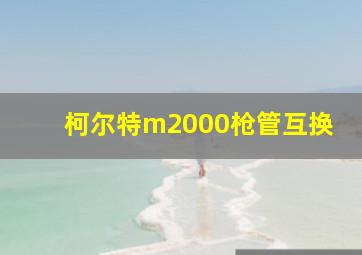 柯尔特m2000枪管互换