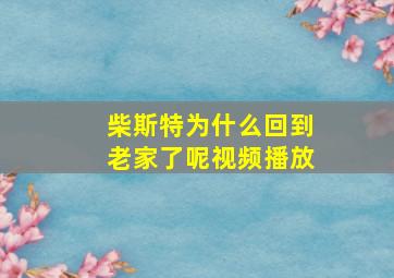 柴斯特为什么回到老家了呢视频播放