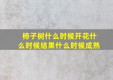 柿子树什么时候开花什么时候结果什么时候成熟