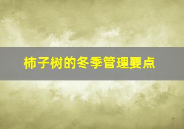 柿子树的冬季管理要点