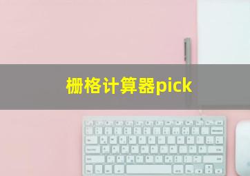 栅格计算器pick