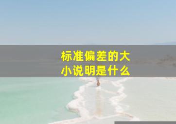 标准偏差的大小说明是什么