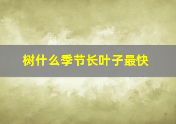 树什么季节长叶子最快