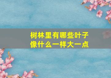 树林里有哪些叶子像什么一样大一点