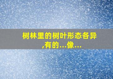 树林里的树叶形态各异,有的...像...