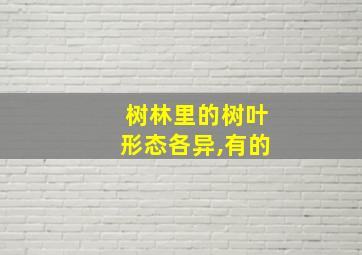 树林里的树叶形态各异,有的