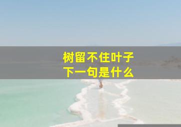 树留不住叶子下一句是什么