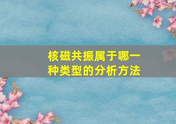 核磁共振属于哪一种类型的分析方法