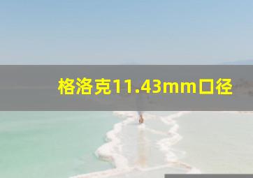 格洛克11.43mm口径