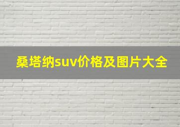 桑塔纳suv价格及图片大全