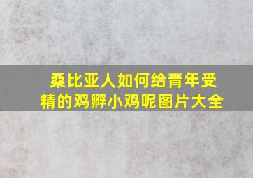 桑比亚人如何给青年受精的鸡孵小鸡呢图片大全