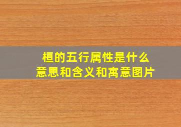 桓的五行属性是什么意思和含义和寓意图片