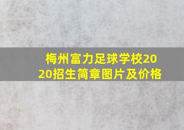 梅州富力足球学校2020招生简章图片及价格