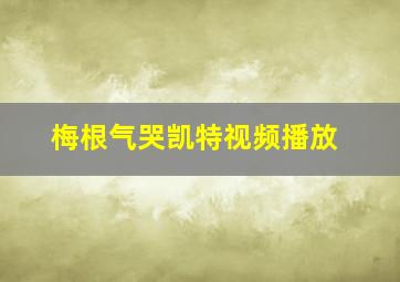 梅根气哭凯特视频播放