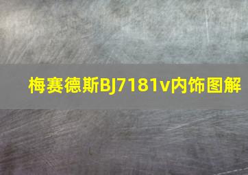 梅赛德斯BJ7181v内饰图解