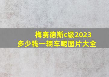 梅赛德斯c级2023多少钱一辆车呢图片大全