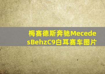 梅赛德斯奔驰MecedesBehzC9白耳赛车图片