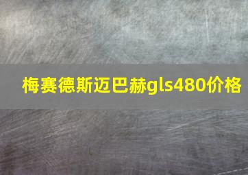 梅赛德斯迈巴赫gls480价格