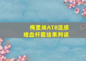 梅里埃ATB流感嗜血杆菌结果判读