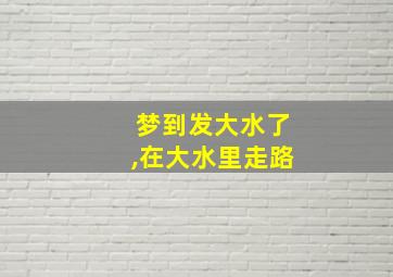 梦到发大水了,在大水里走路