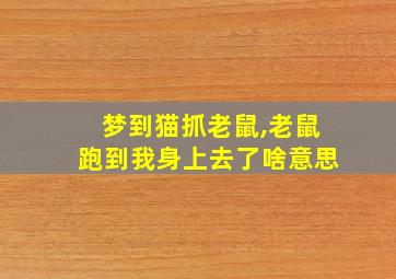 梦到猫抓老鼠,老鼠跑到我身上去了啥意思