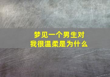 梦见一个男生对我很温柔是为什么