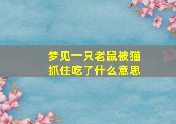 梦见一只老鼠被猫抓住吃了什么意思