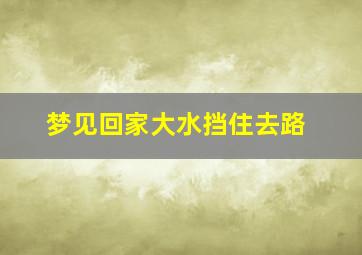 梦见回家大水挡住去路