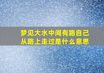 梦见大水中间有路自己从路上走过是什么意思