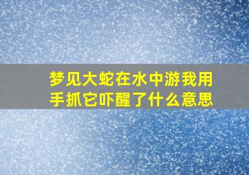 梦见大蛇在水中游我用手抓它吓醒了什么意思