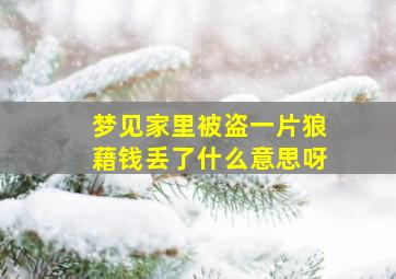 梦见家里被盗一片狼藉钱丢了什么意思呀