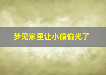 梦见家里让小偷偷光了