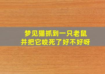 梦见猫抓到一只老鼠并把它咬死了好不好呀