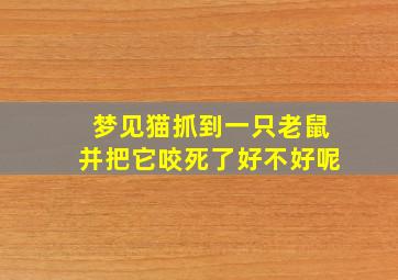 梦见猫抓到一只老鼠并把它咬死了好不好呢