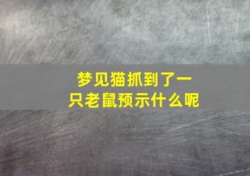 梦见猫抓到了一只老鼠预示什么呢