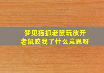 梦见猫抓老鼠玩放开老鼠咬我了什么意思呀