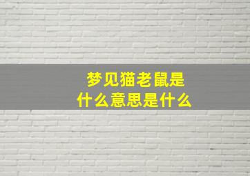 梦见猫老鼠是什么意思是什么