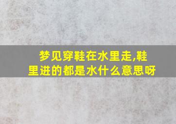 梦见穿鞋在水里走,鞋里进的都是水什么意思呀