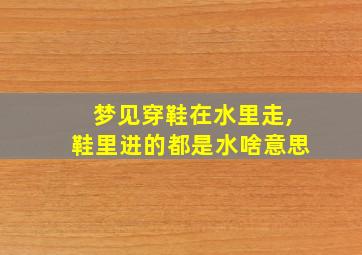 梦见穿鞋在水里走,鞋里进的都是水啥意思