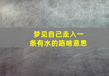 梦见自己走入一条有水的路啥意思