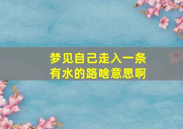 梦见自己走入一条有水的路啥意思啊