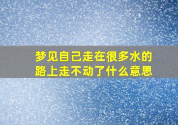 梦见自己走在很多水的路上走不动了什么意思