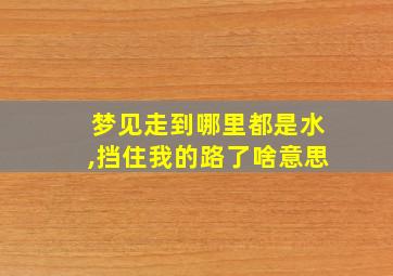 梦见走到哪里都是水,挡住我的路了啥意思