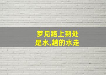 梦见路上到处是水,趟的水走