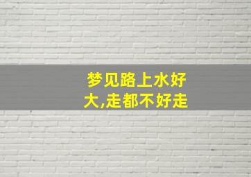 梦见路上水好大,走都不好走