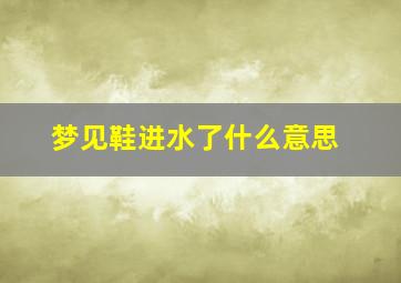 梦见鞋进水了什么意思