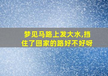 梦见马路上发大水,挡住了回家的路好不好呀